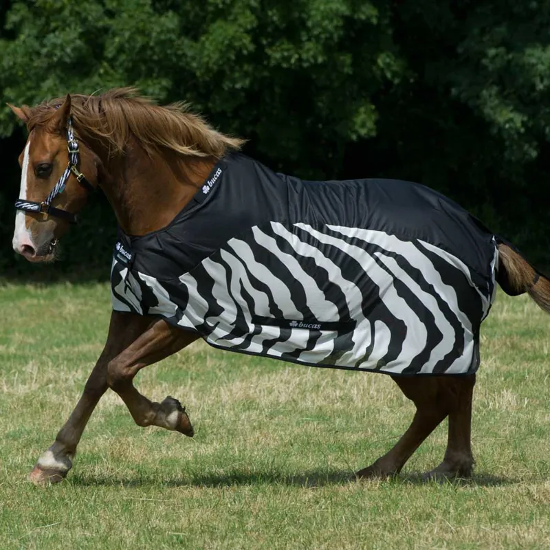 Bucas BuzzOff Fly/Rain Sheet Hybrid Rug Zebra Print Redpost Equestrian