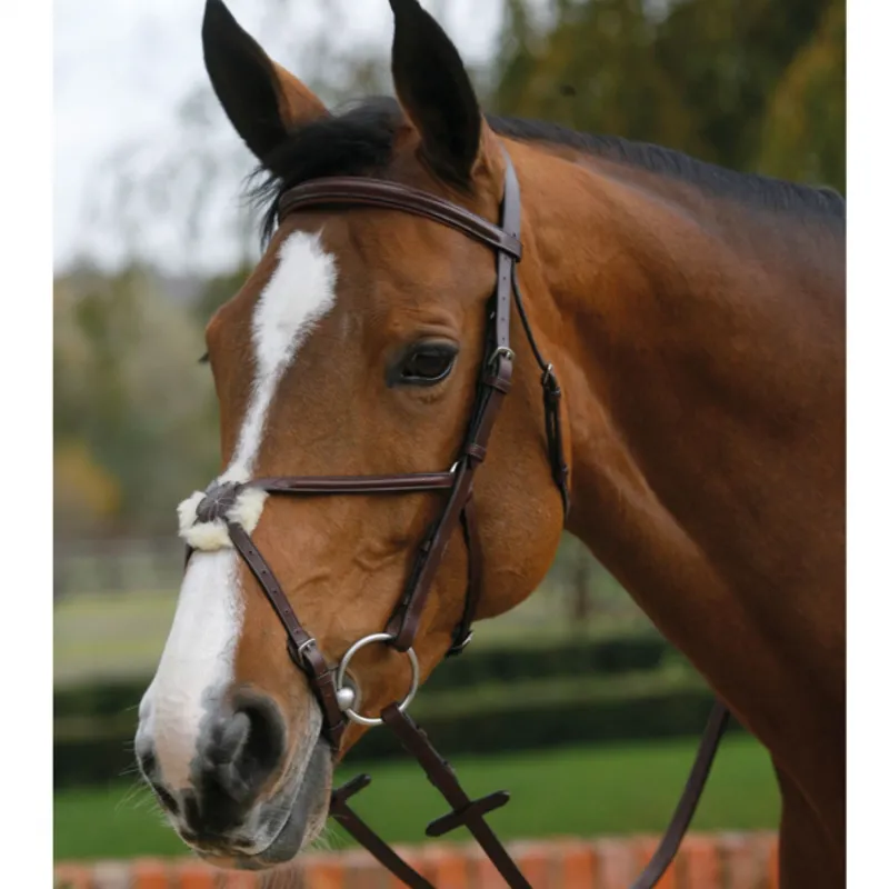 Mark Todd Raised Grackle Bridle with Reins Australian Nut Redpost