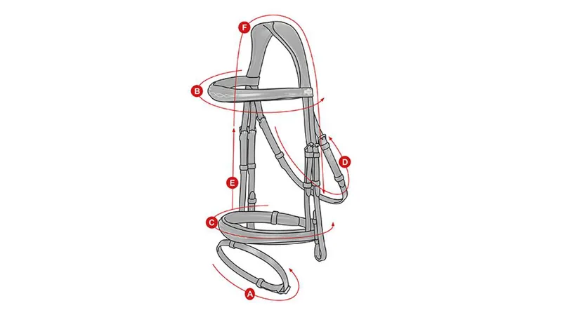 Lemieux Competition Bridle Sizing Image