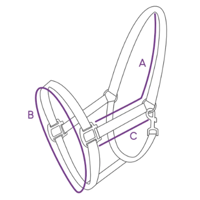 qhp foal headcollar sizing