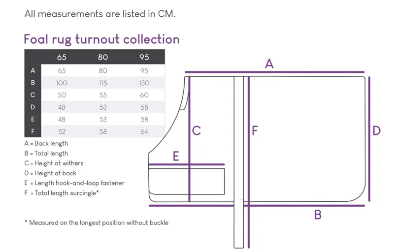 QHP Foal Rug Size Guide