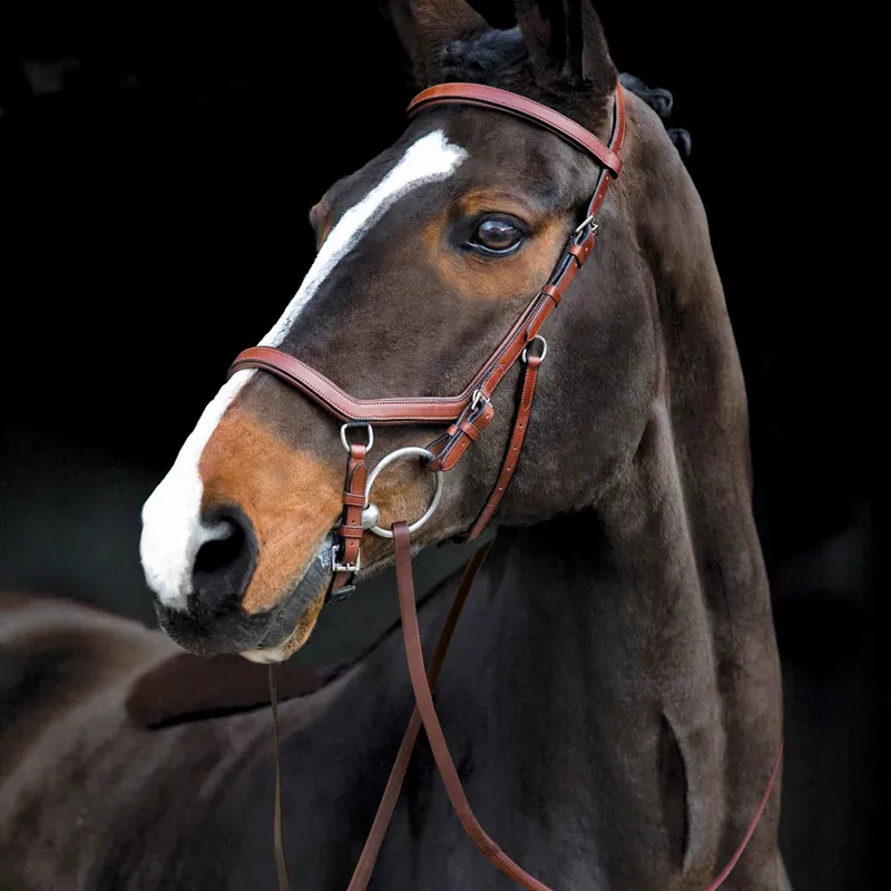 Rambo Micklem Competition Bridle Tobacco Brown Redpost Equestrian