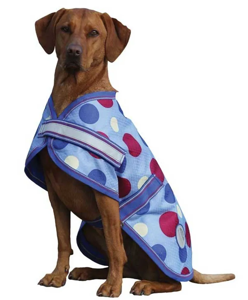 Weatherbeeta Landa Waterproof Dog Coat Spotty Royal/Orchid Redpost