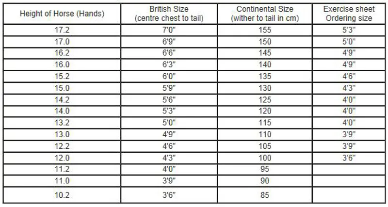 Animo Size Chart