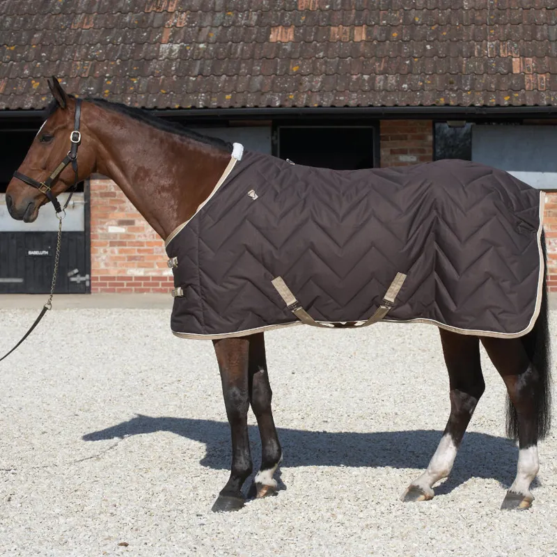 Mark Todd Medium Weight Stable Rug 250g - Chocolate