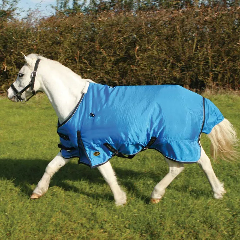 Turnout Rugs Neck Covers Derby House Turnout Rug Turnout Horse Rugs