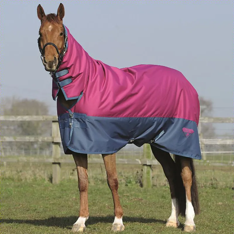 Here S What I D Call The Best Horse Blankets Winter Turnout Etc Horse Blankets Winter Horse Blankets Horses