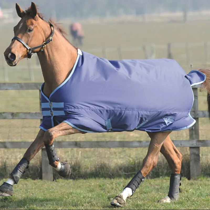 Saxon 600D Medium Standard Turnout Rug 200g OS - Navy/Light Blue