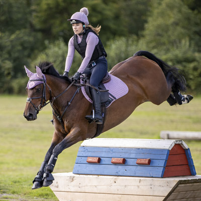 New Lemieux Colours Redpost Equestrian Blog New Lemieux Colours Redpost Equestrian Blog