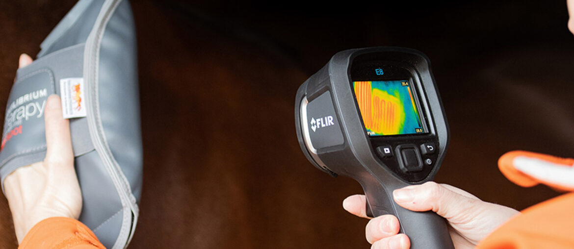Equine Therapy Technology