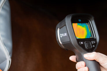 Equine Therapy Technology