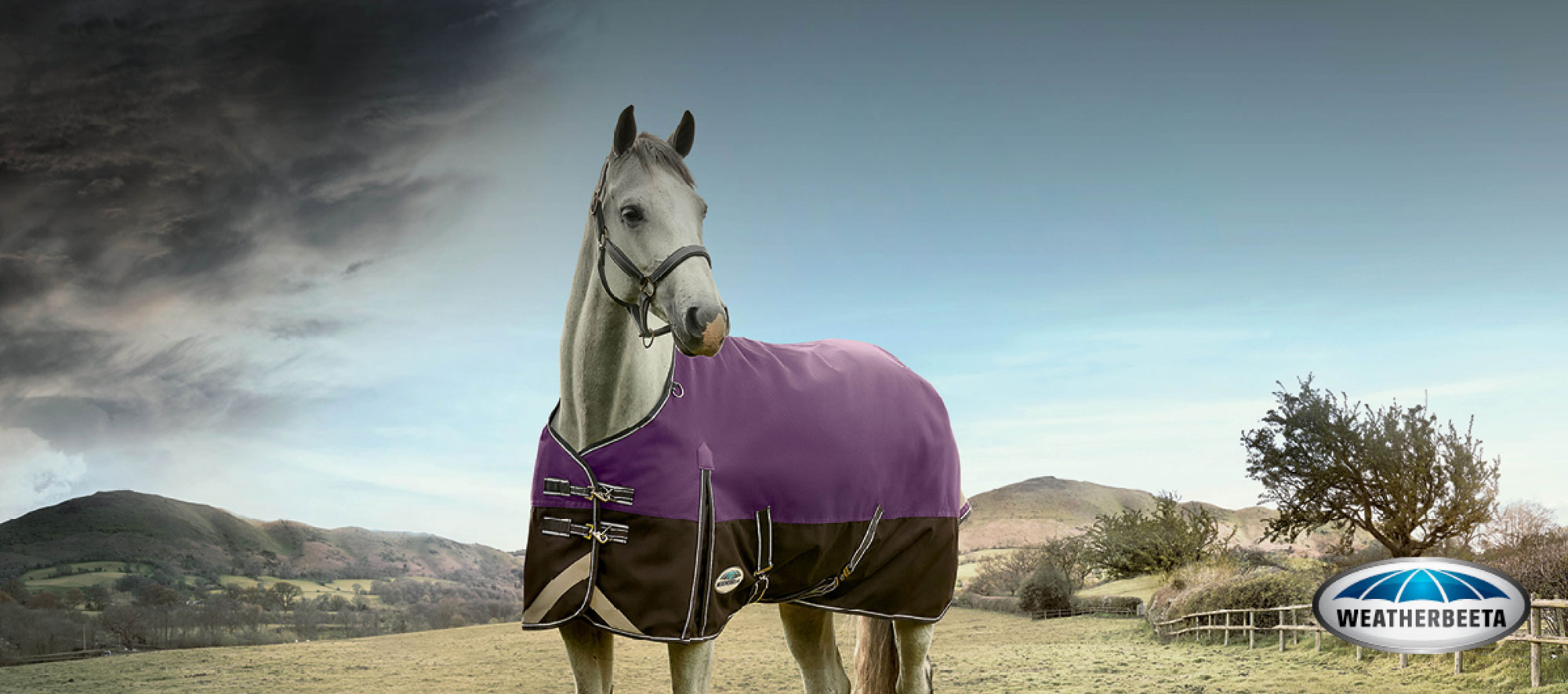 WeatherBeeta Turnout Rug Warranty Redpost Equestrian Blog