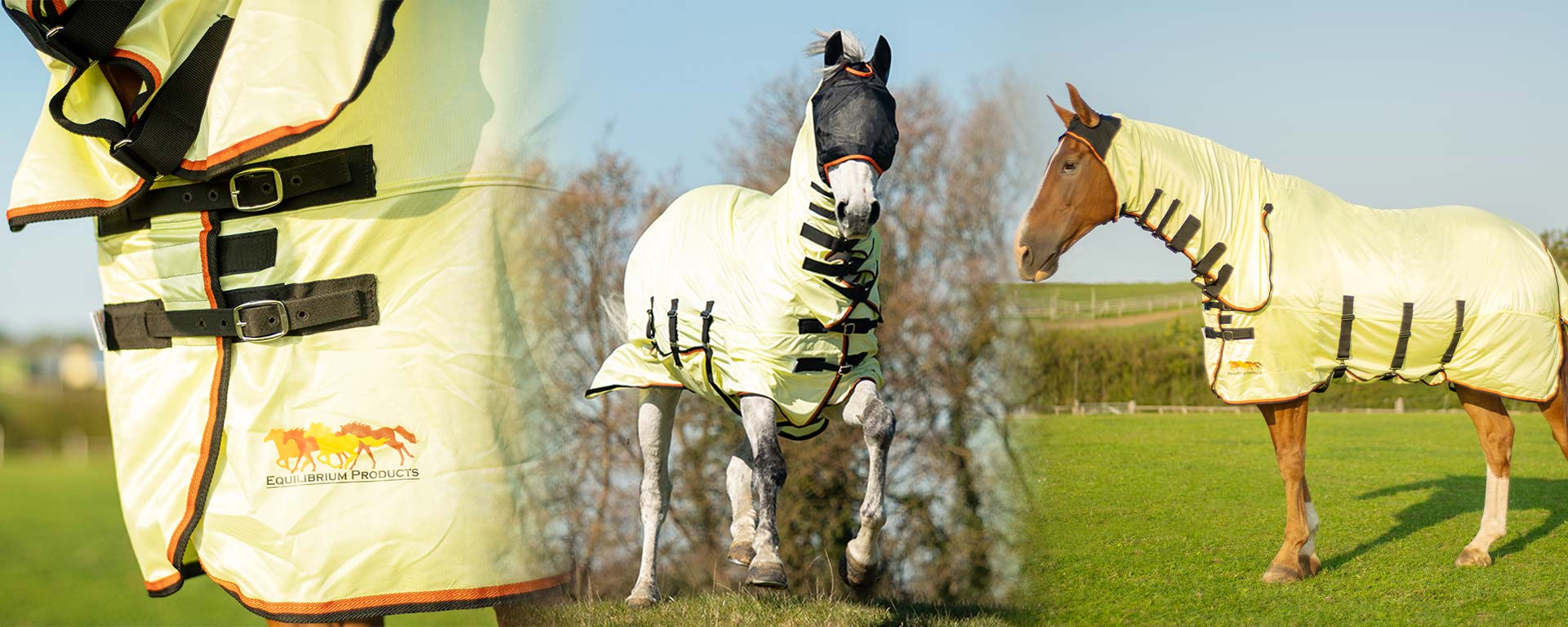 Win an Equilibrium Fly Rug