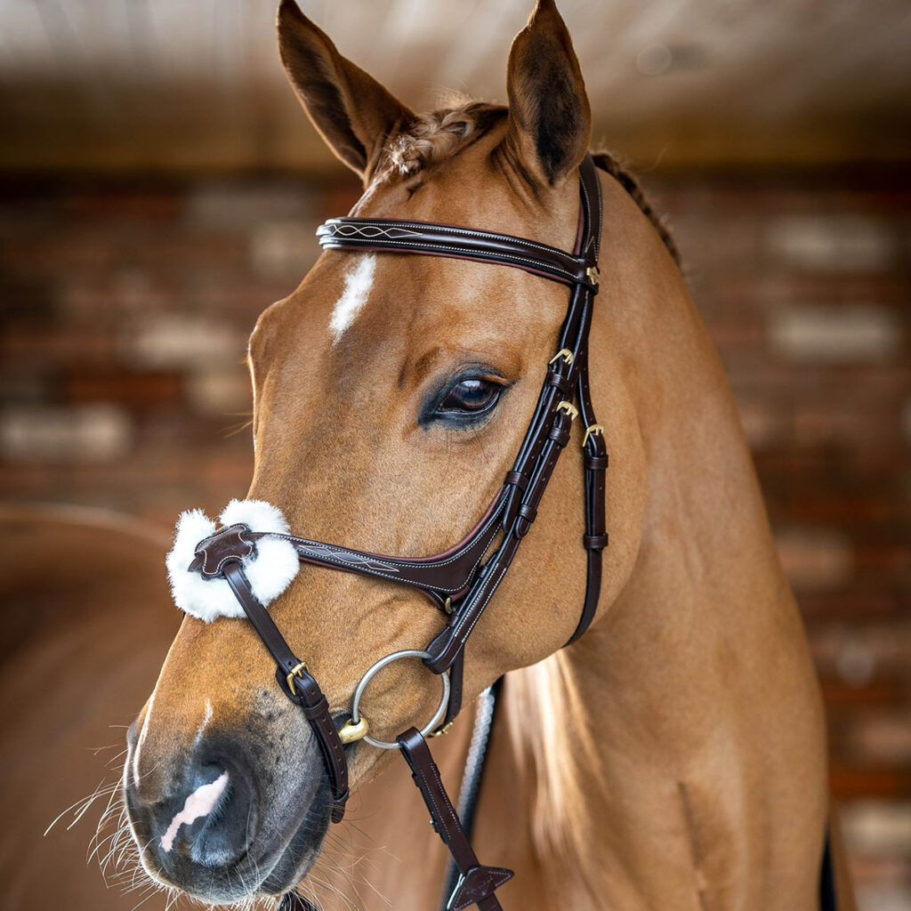 Lemieux Portanumeri Da Competizione - Marrone Distressed, Con Set Numeri, Taglia Unica - Foto 9