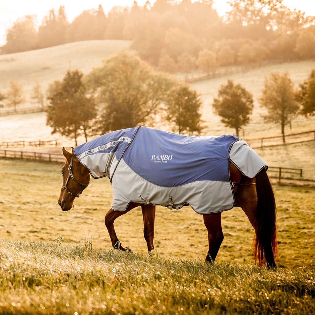 Redpost’s Guide to Horseware Rugs Redpost Equestrian Blog
