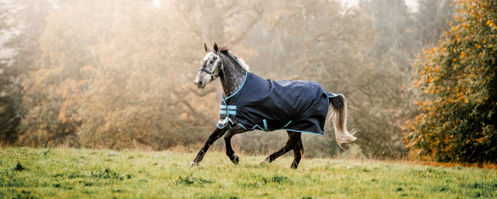 A horse cantering in a field, wearing a turnout rug.