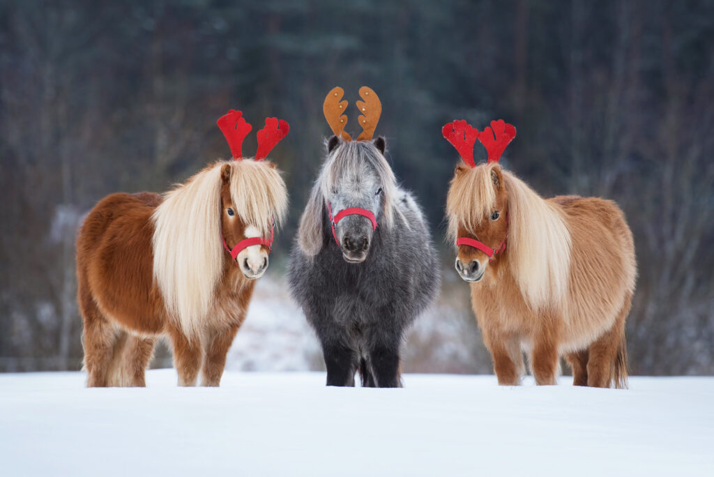 Redpost’s 12 Days of Christmas