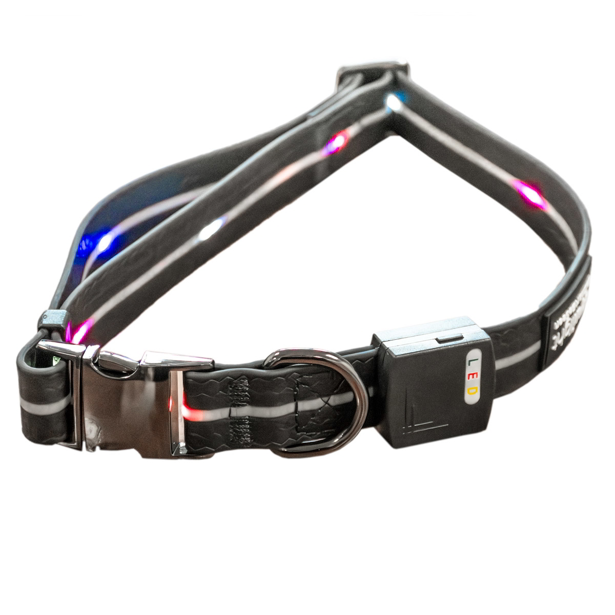 Equi Light LED Rechargeable Dog Collar - Black