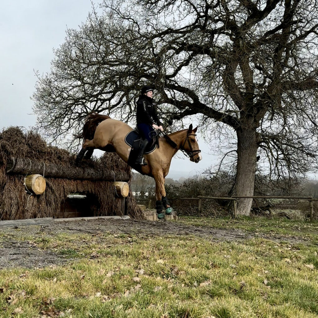 Tried & Tested Animo Nyork Knee Grip Breeches Review Redpost