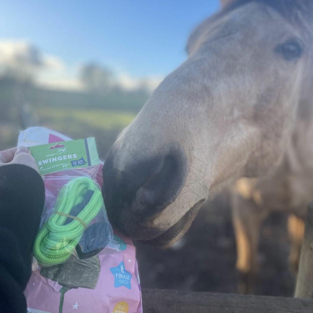 Tried & Tested Silvermoor Unicorn Swinger review Redpost Equestrian Blog