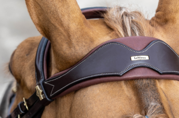 LeMieux Bridle Headpiece