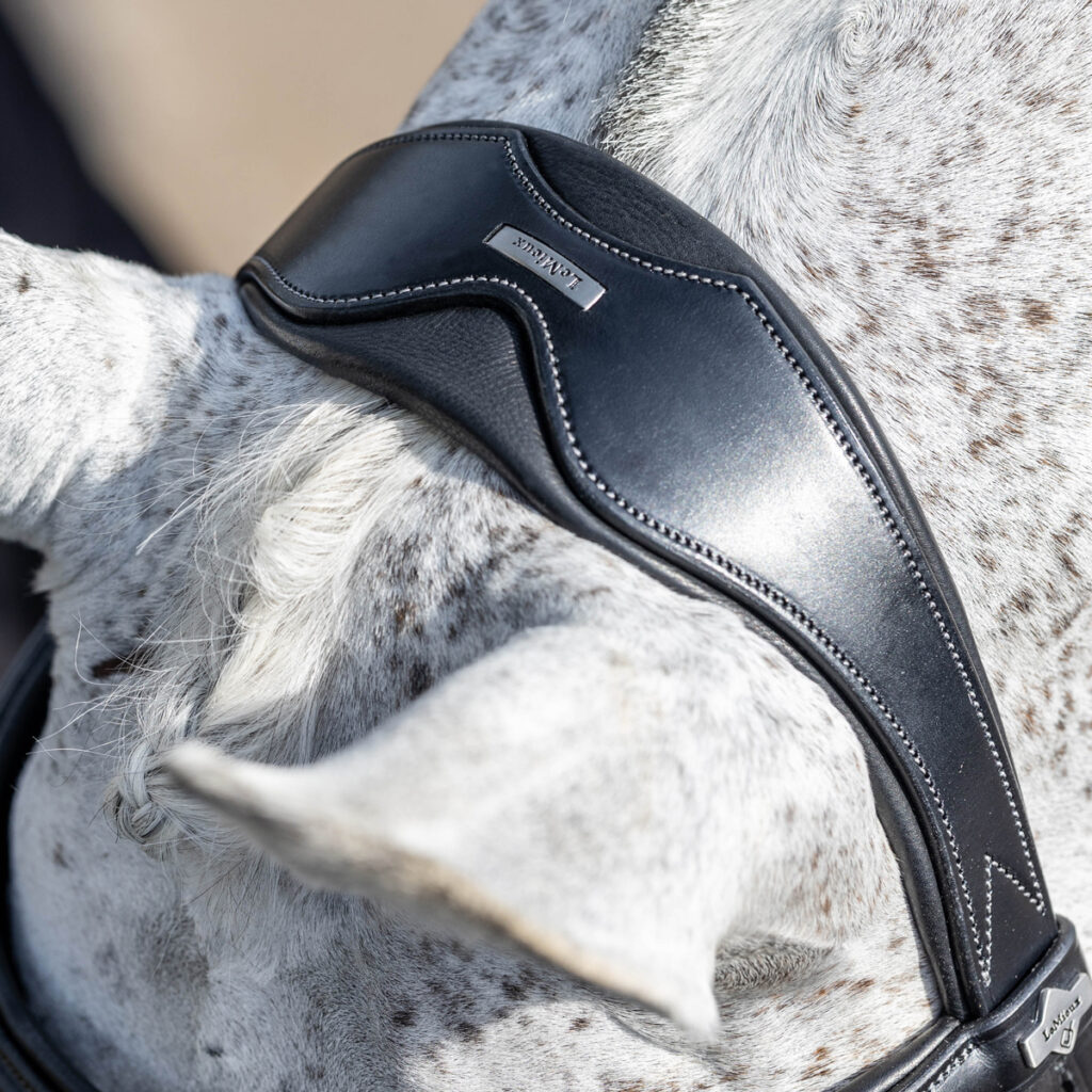 LeMieux Kudos Headpiece