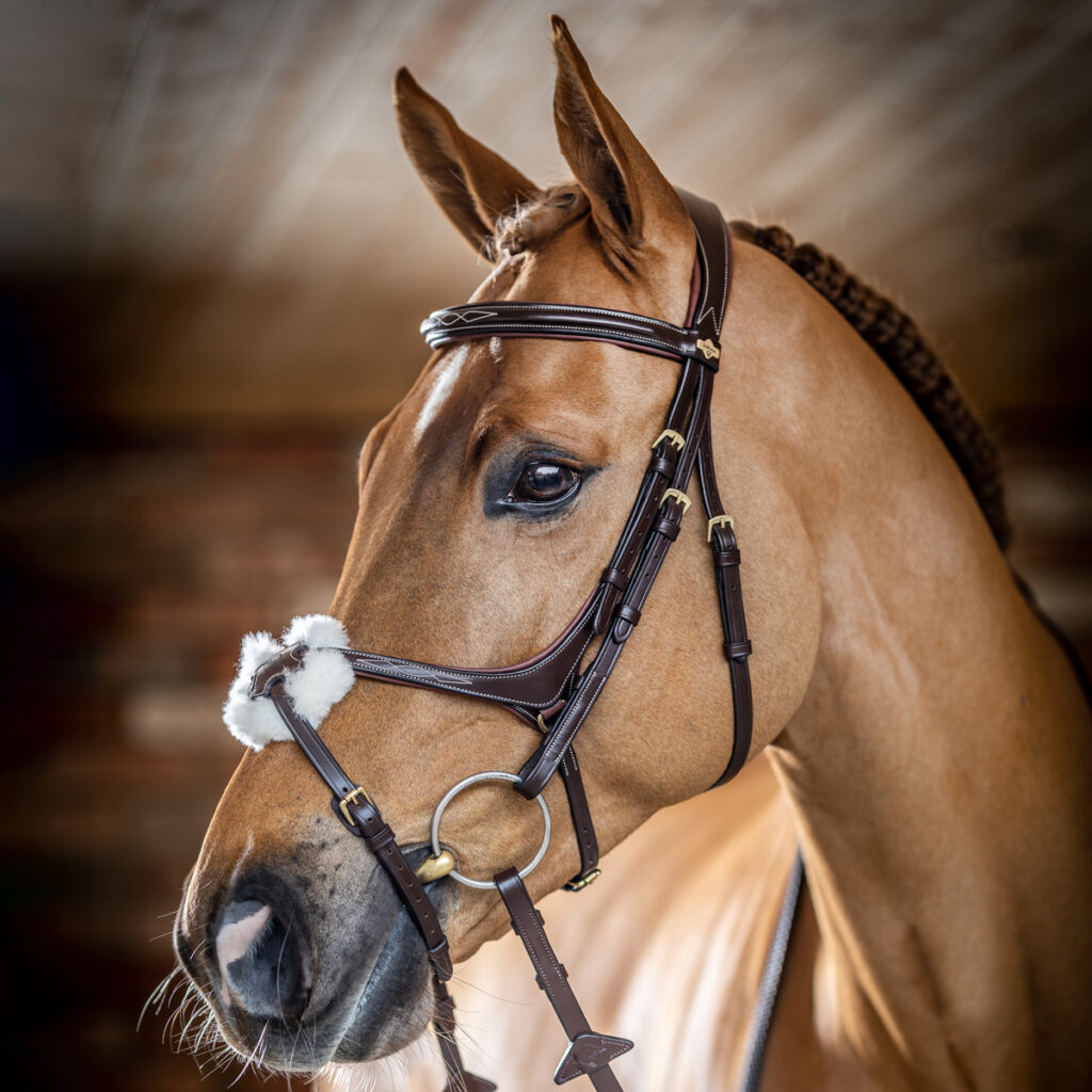 LeMieux Kudos Grackle Bridle