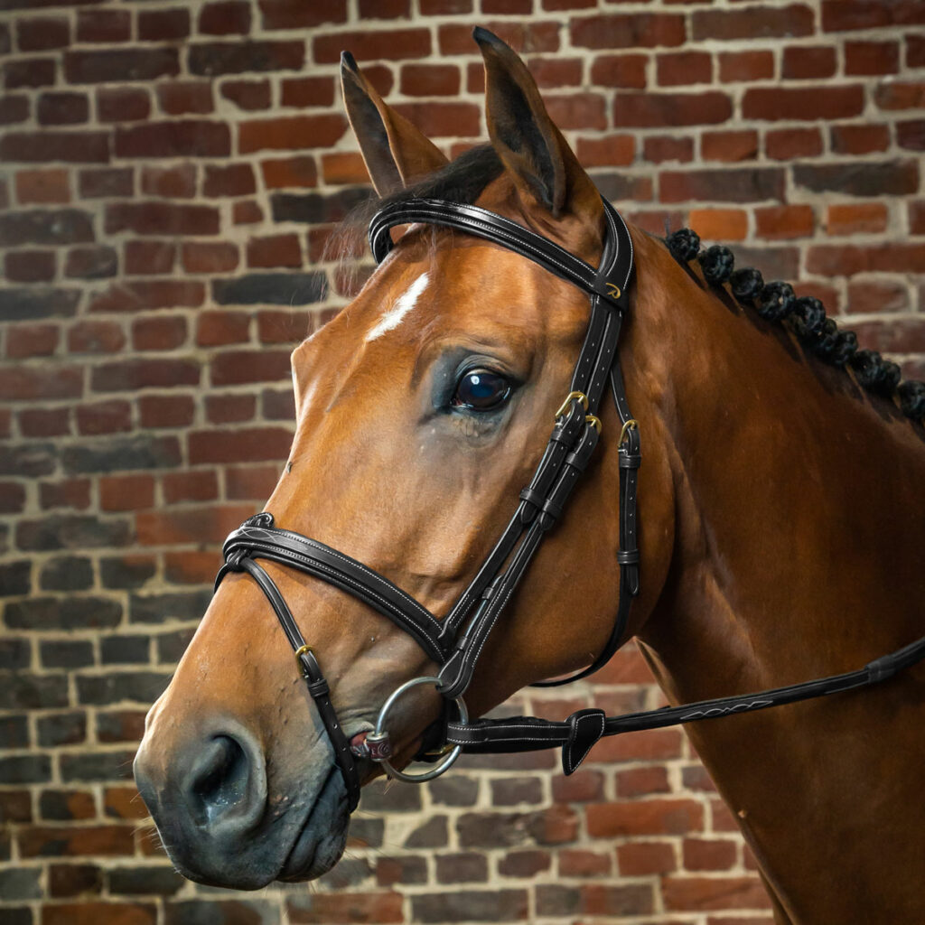 Dy'on D Collection Flash Bridle