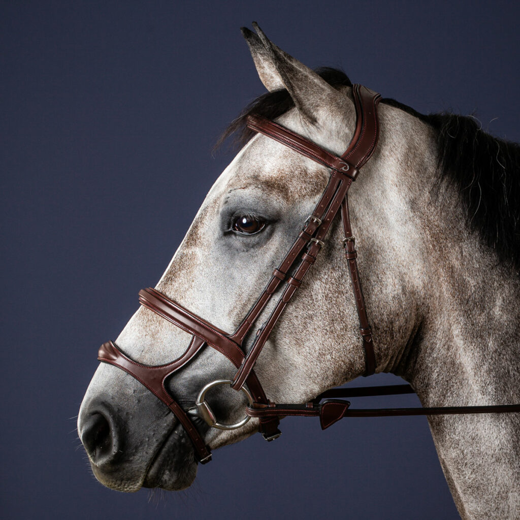 Dy'on New English Double Noseband Bridle