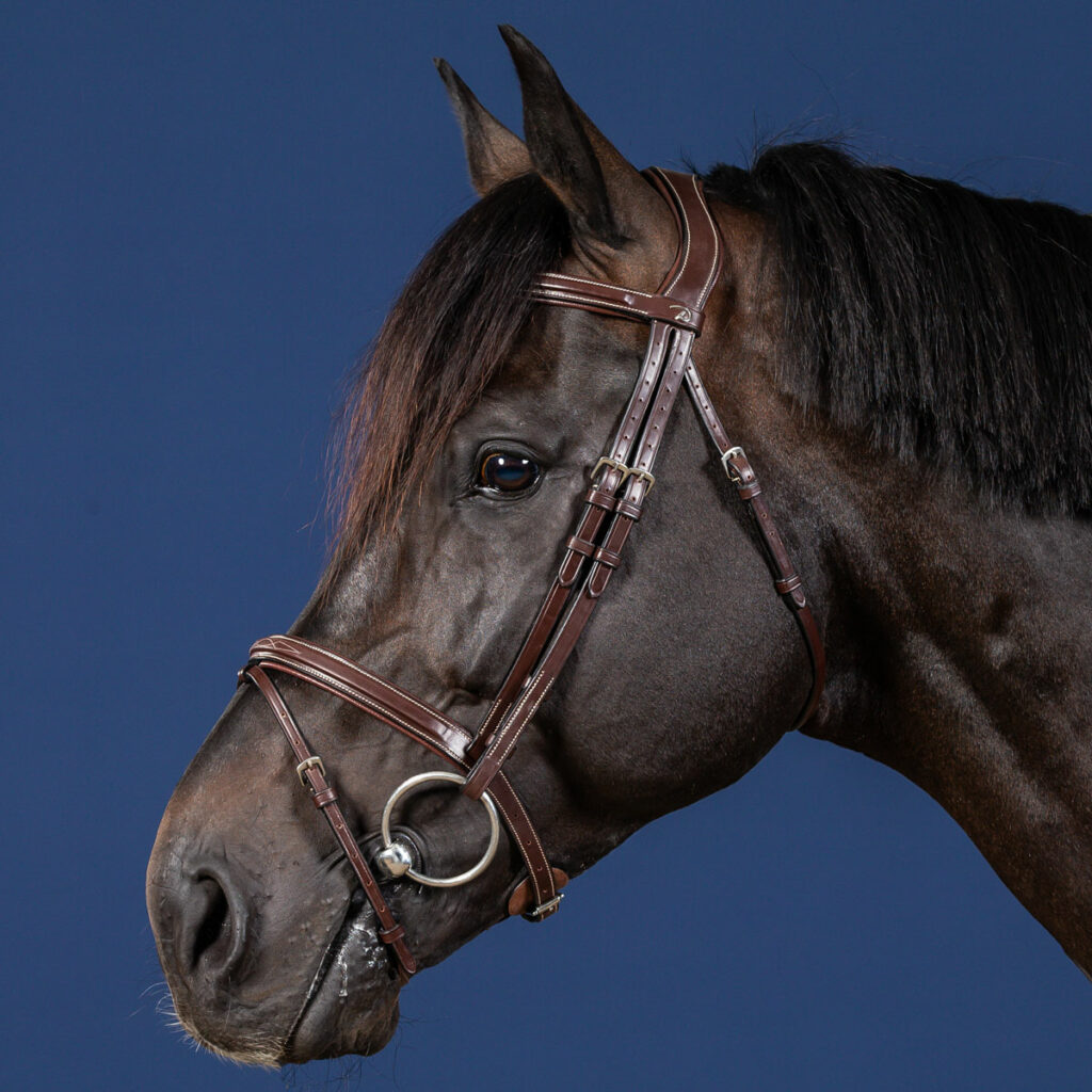 Dy'on US Flash Bridle