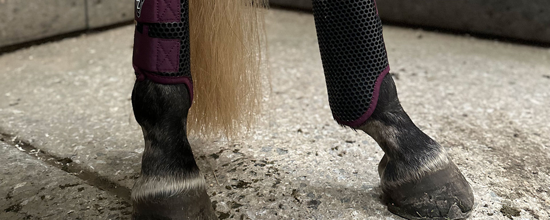 Equilibrium tri zone brushing boots sales