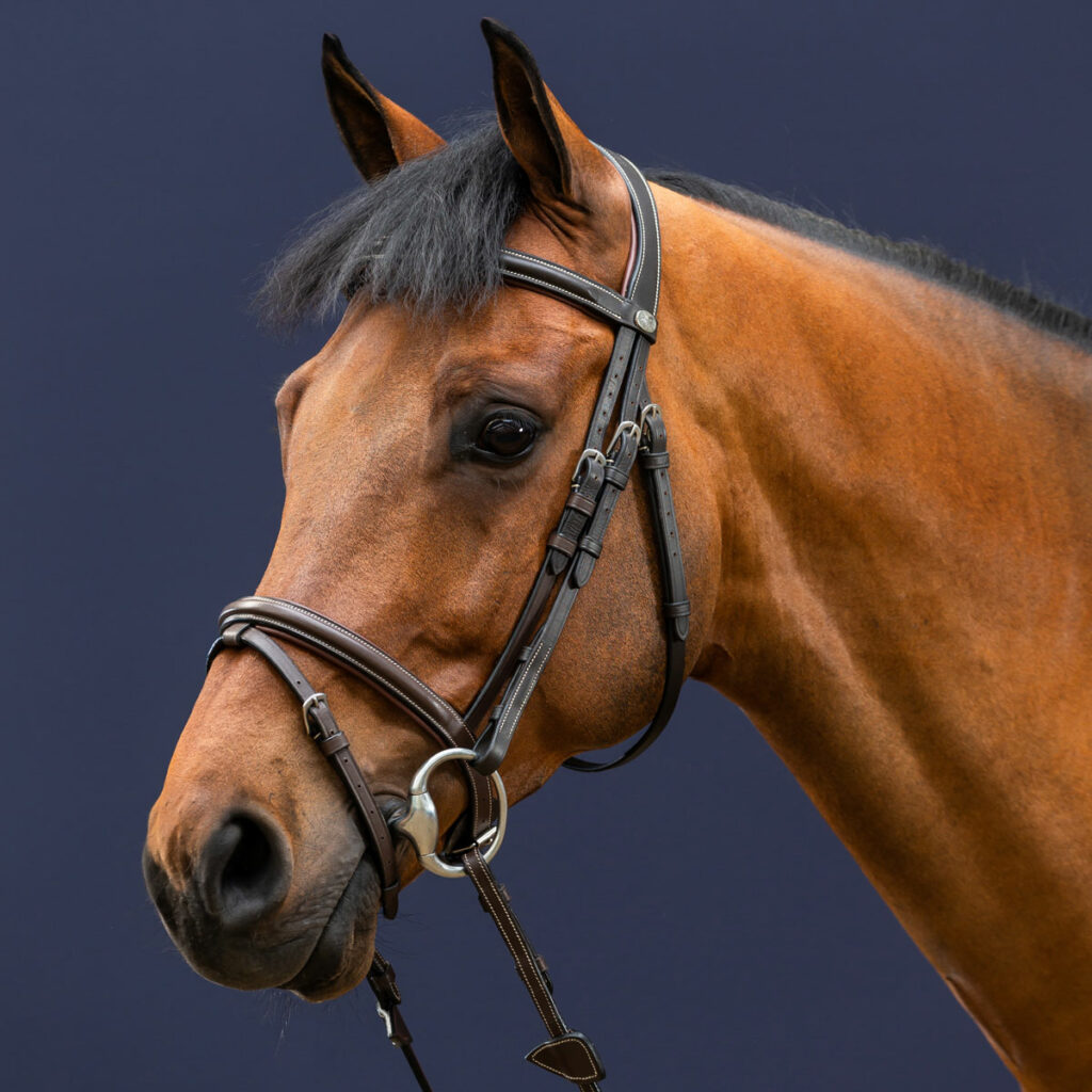 Dy'on Working Collection Bridle