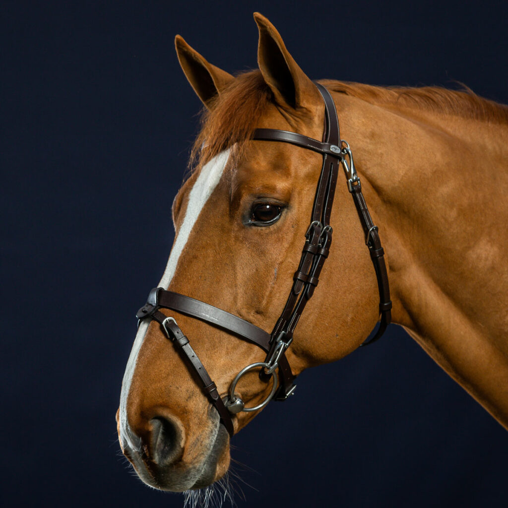Dy'on Working Collection Bridle