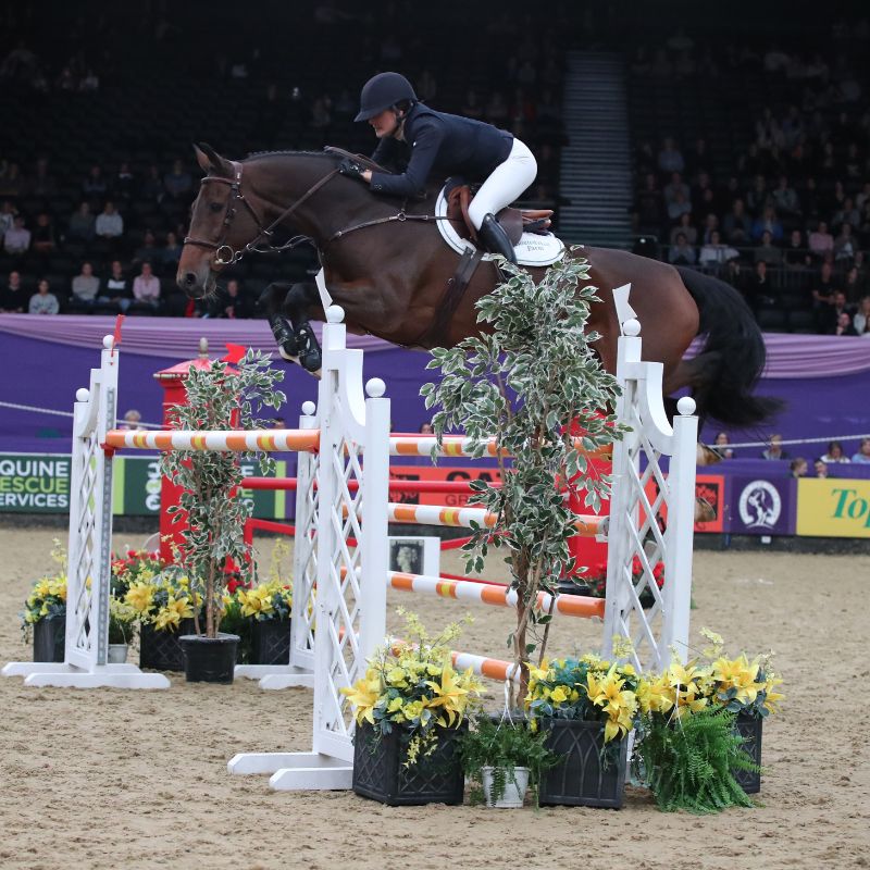 HOYS 2023 Senior Foxhunter Winner jumping