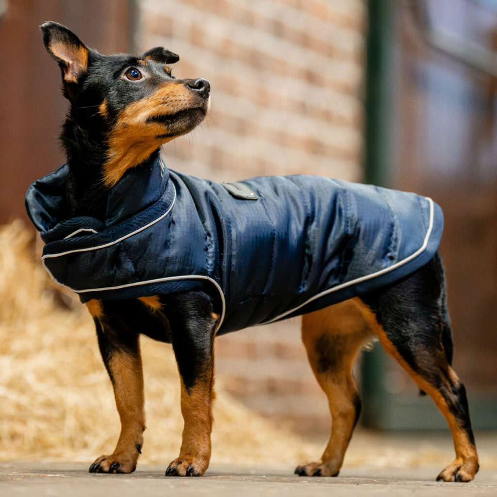 New To The Horseware® Stable Introducing the Horseware® Signature