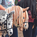 What Do You Need To Take Part In Hobby Horsing?