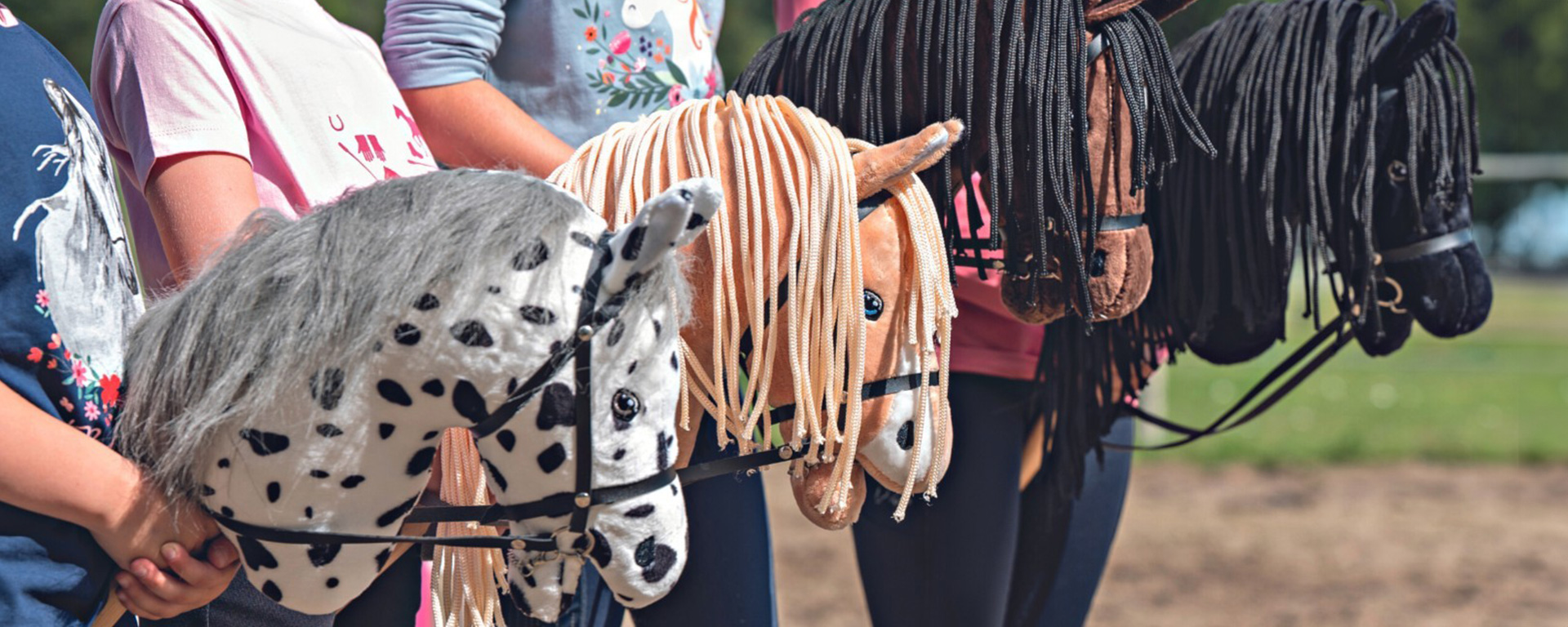 Stick pony riding sales