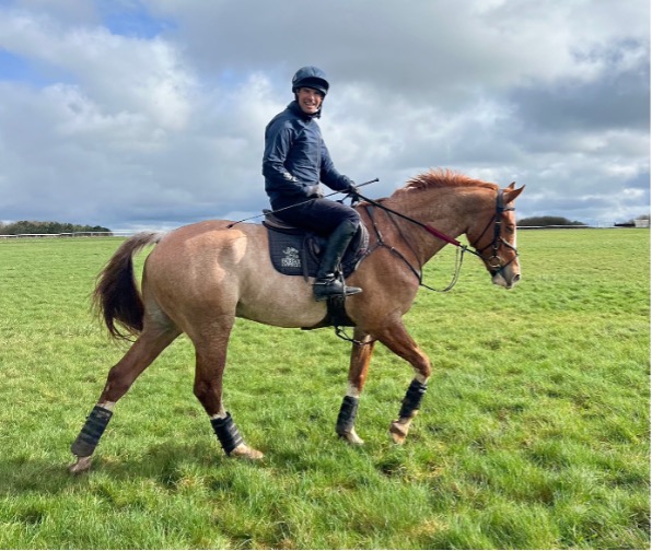 The end of the 22nd cross country schooling round at Larkhill – 6 year old Nashville