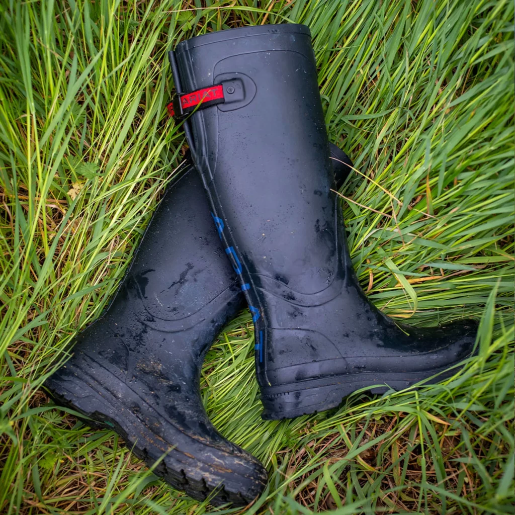 Ariat Wellington Boots