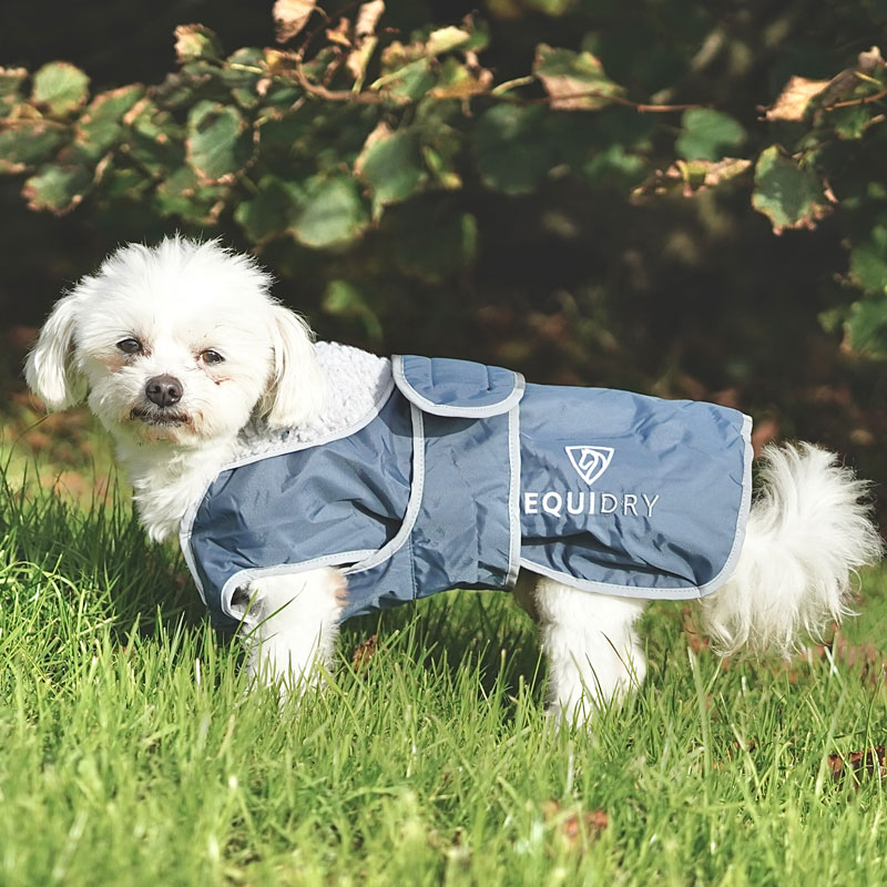 Dog Christmas Gifts - EQUIDRY