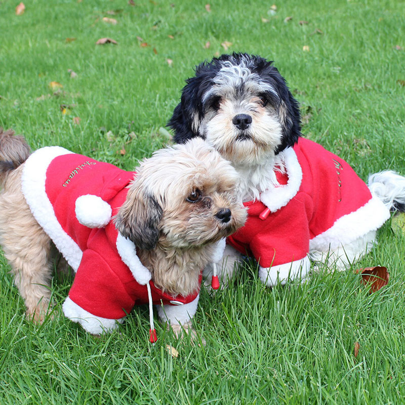 QHP Christmas Dog Coat - QHP