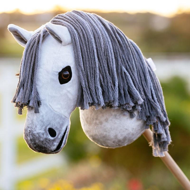 LeMieux Earl Hobby Horse