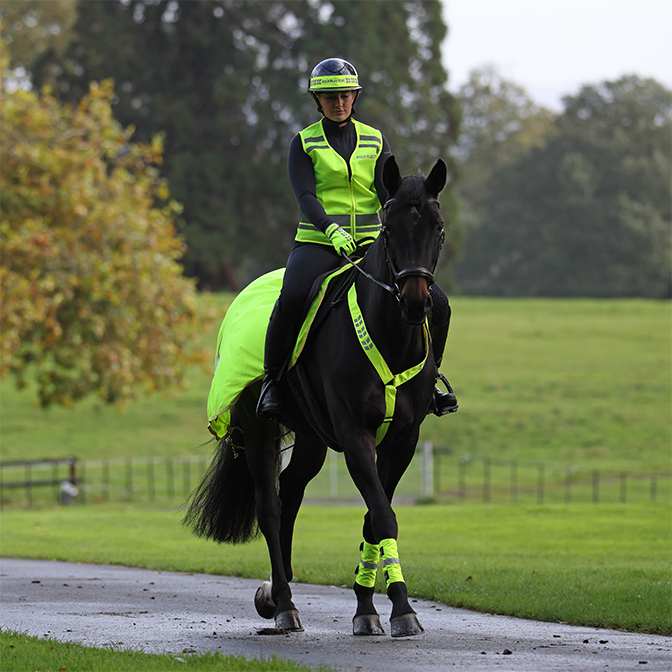 Shires Equestrian Safety Gear