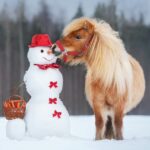 Redpost 12 Days of Christmas