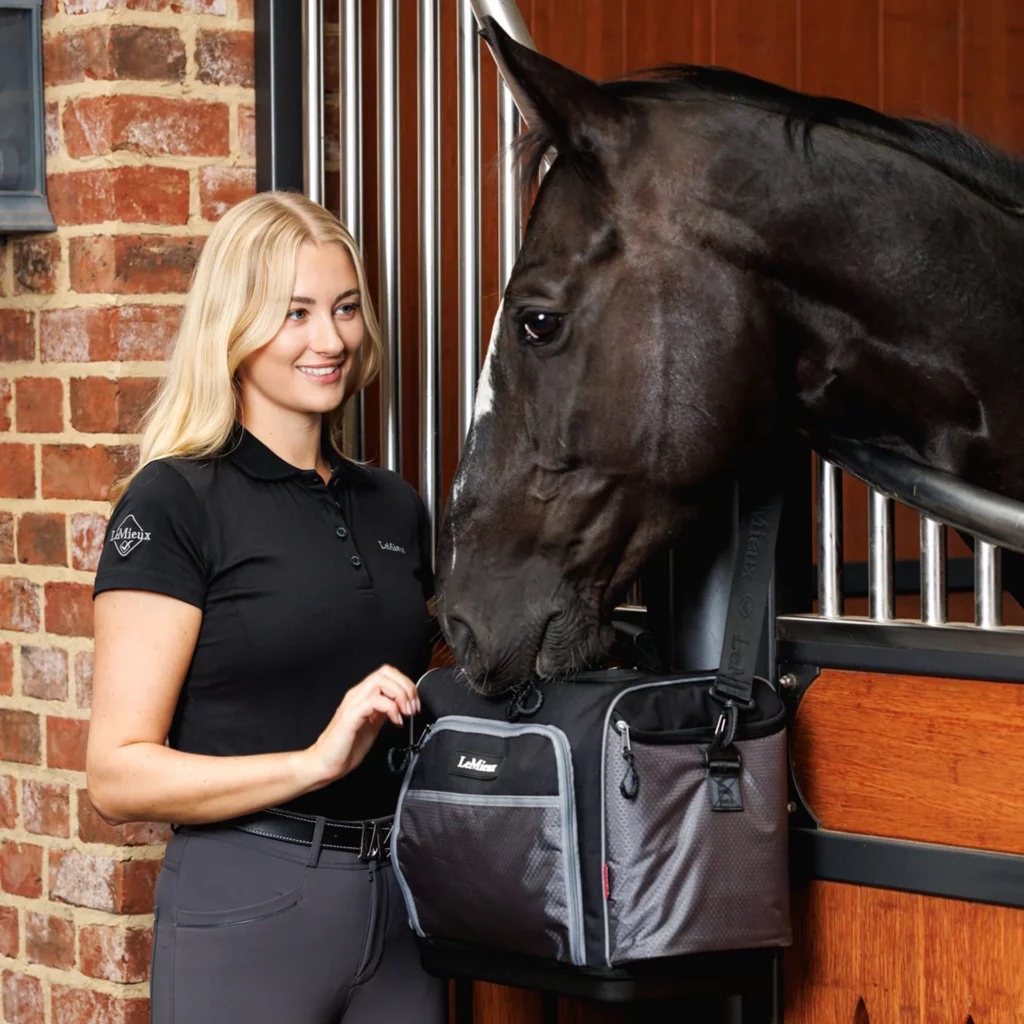 lemieux grooming bag black