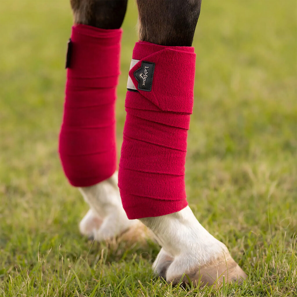 lemieux bandages ember