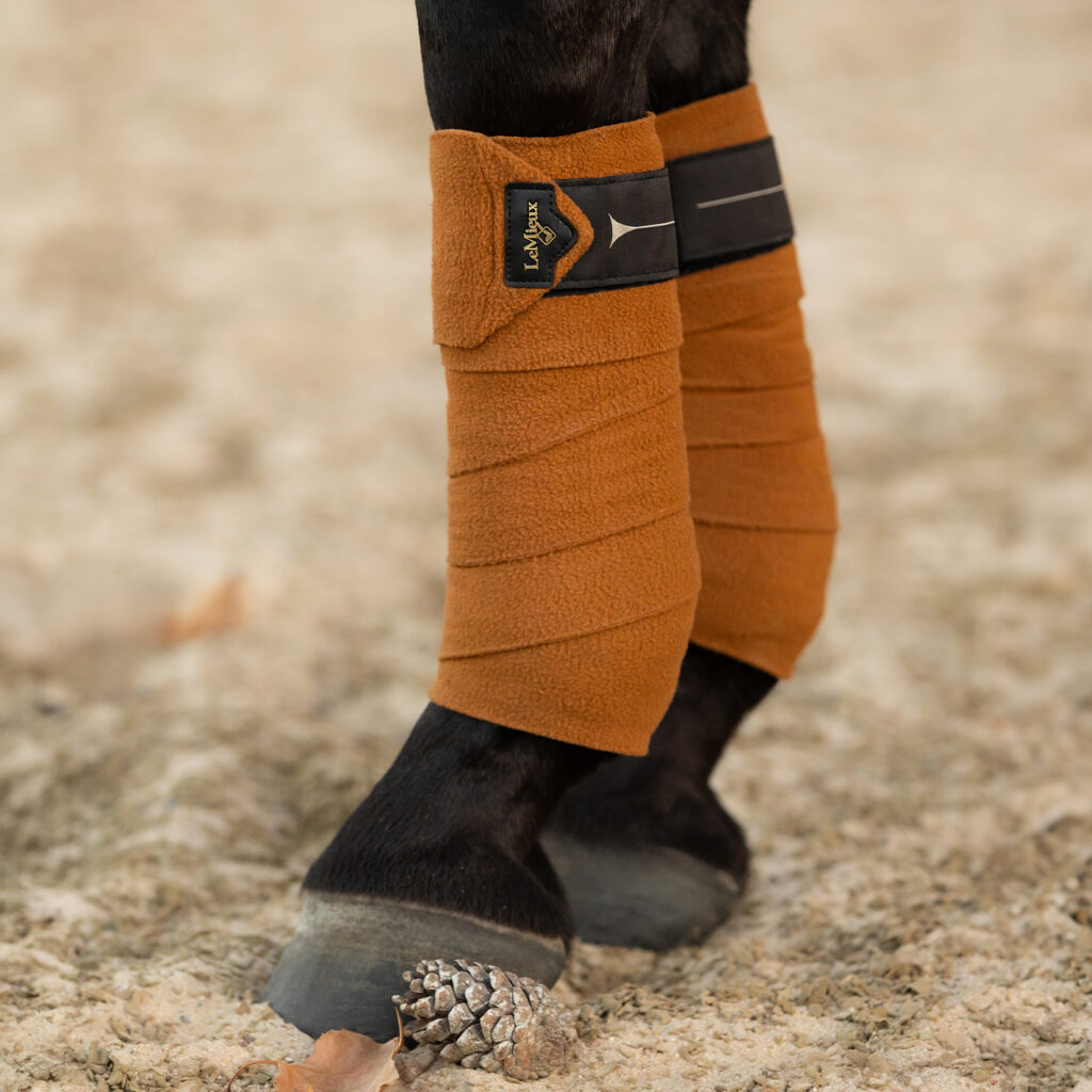 lemieux bandages ginger