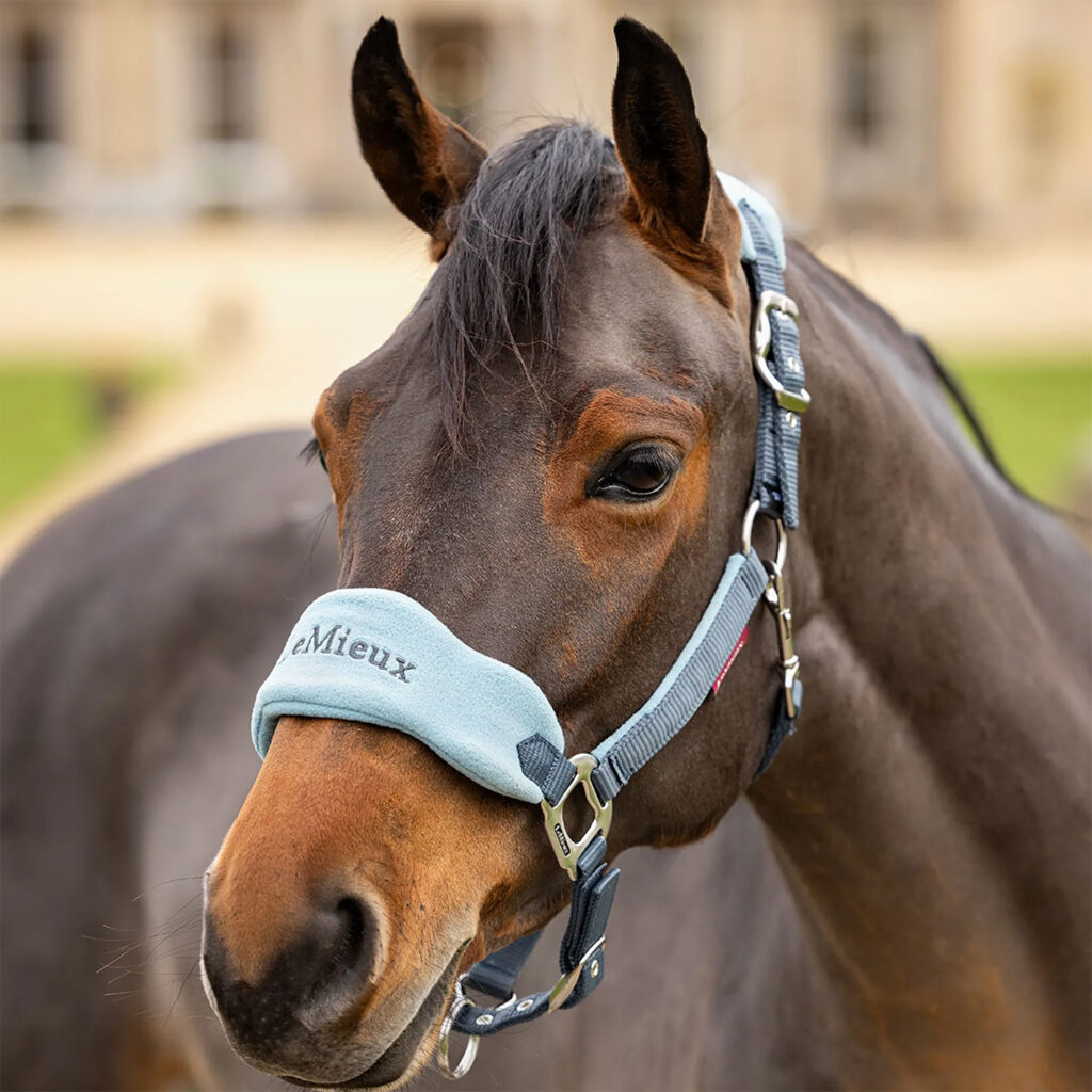 lemieux vogue headcollar petrol