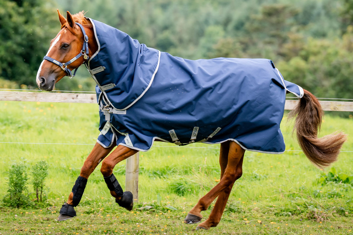 Amigo bravo 12 Plus Turnout Rug Horseware Rugs