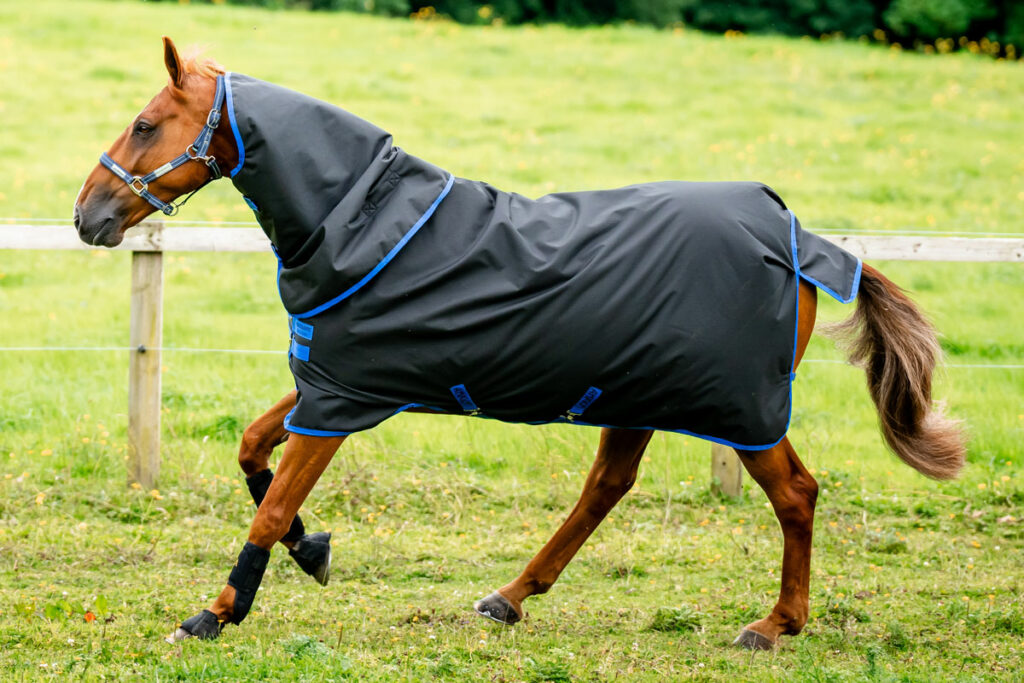 Amigo Ripstop 900D Plus turnout Rug Horseware Rugs